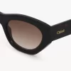 Gayia sunglasses Gayia sunglasses