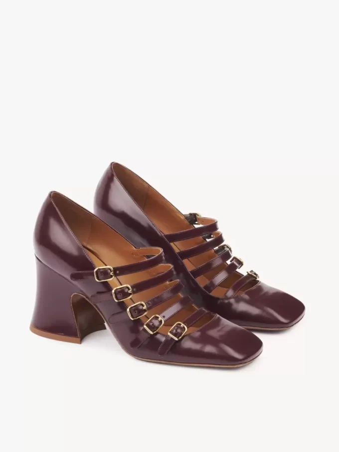 Janis pump Janis pump