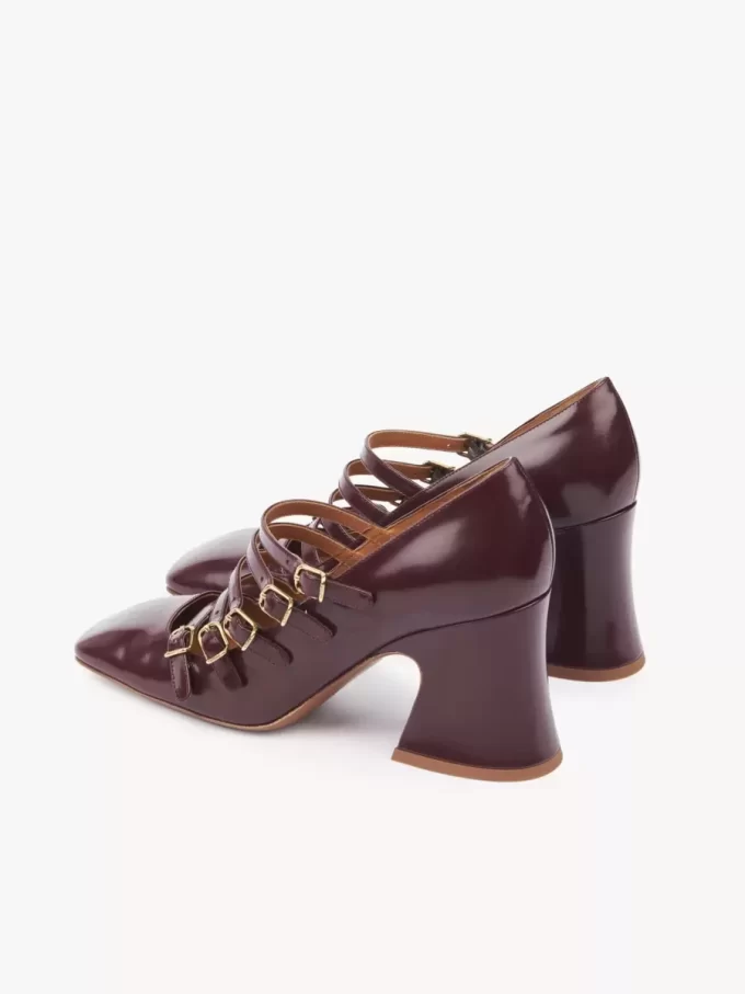 Janis pump Janis pump