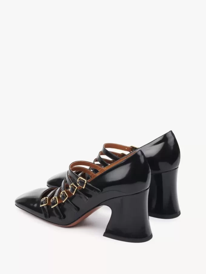 Janis pump Janis pump