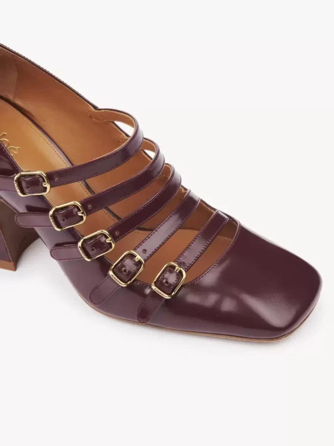 Janis pump Janis pump