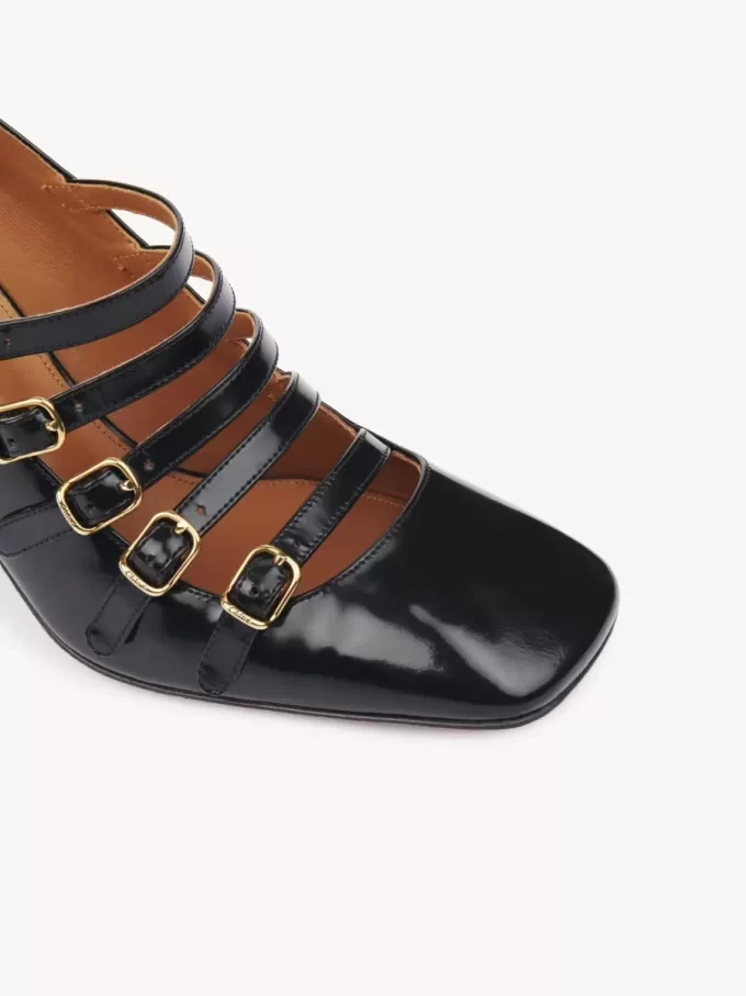 Janis pump Janis pump