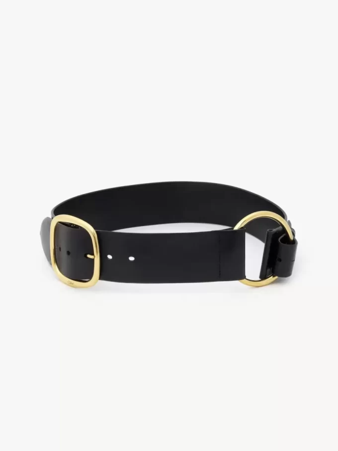 The Chloé Anita belt The Chloé Anita belt