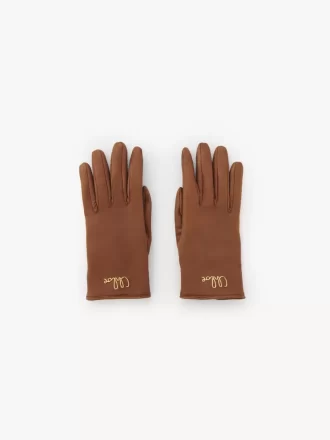 The Chloé Iconic gloves in leather
