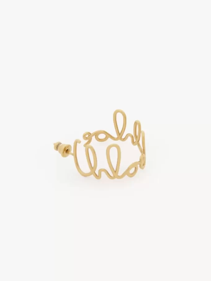 The Chloé Iconic hoop earrings