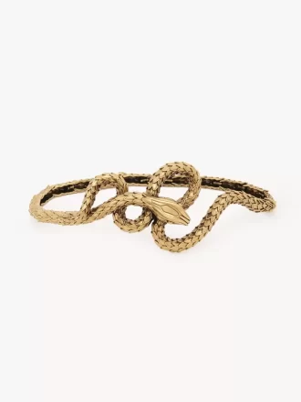 The Chloé Snake belt The Chloé Snake belt