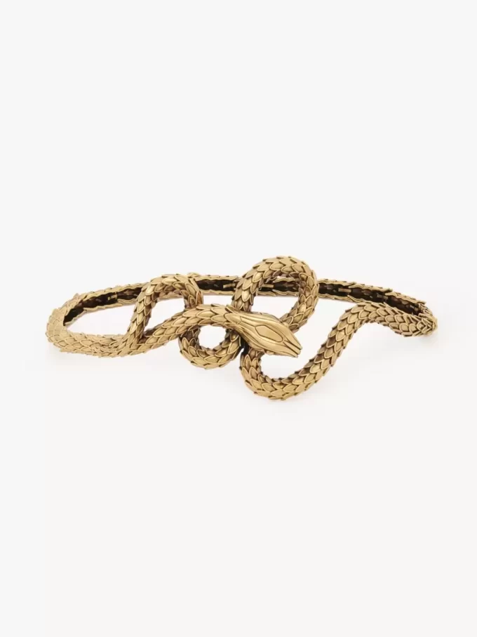 The Chloé Snake belt The Chloé Snake belt