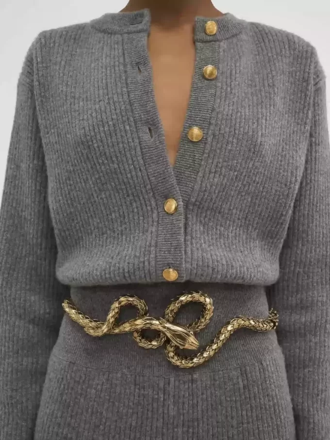 The Chloé Snake belt The Chloé Snake belt