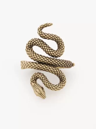 The Chloé Snake bracelet The Chloé Snake bracelet