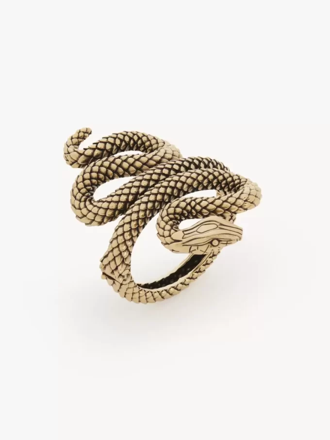 The Chloé Snake bracelet The Chloé Snake bracelet