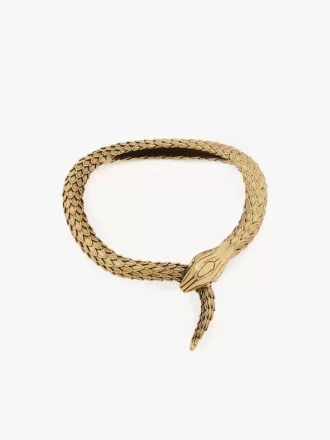 The Chloé Snake necklace The Chloé Snake necklace