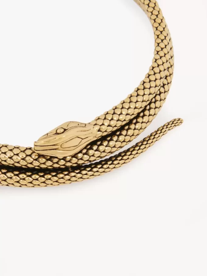 The Chloé Snake necklace The Chloé Snake necklace